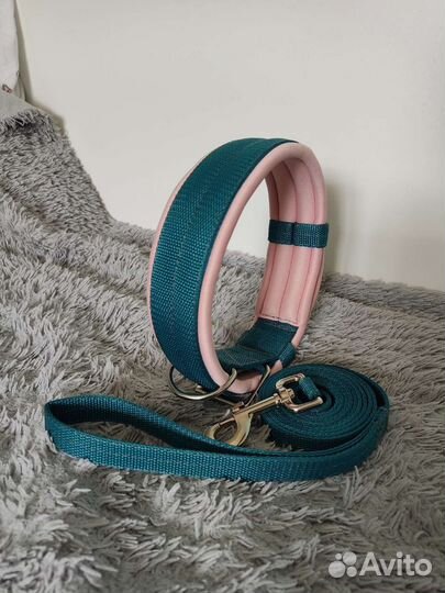 Ошейники на заказ амуниция