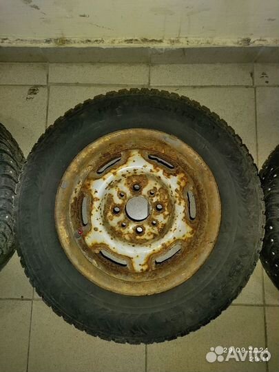 Nokian hakkapeliitta 8 175/70/13