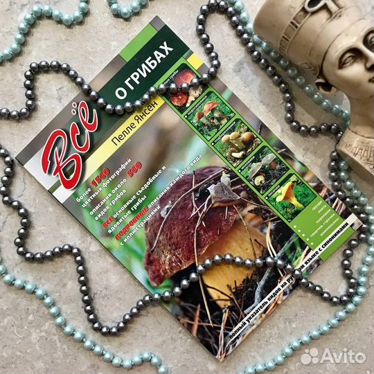 Все о грибах, Пелле Янсен, 2014 год