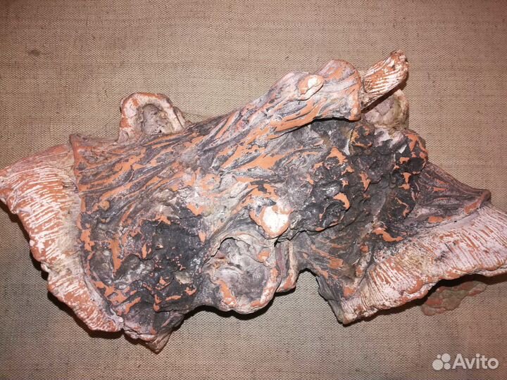 Декор для аквариума