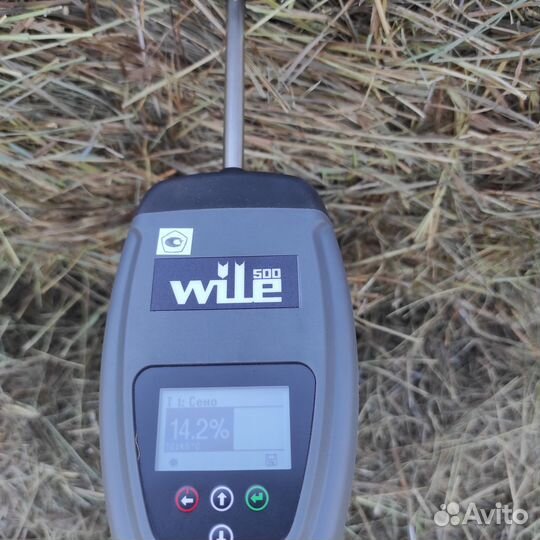 Сено. Луговое разнотравье