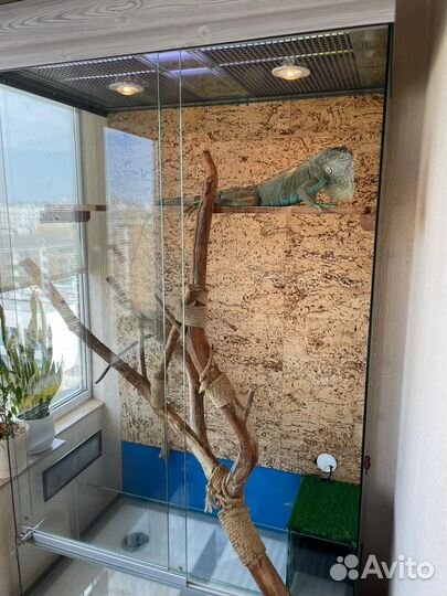 Террариум для рептилий
