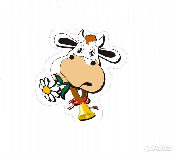 Продавец кассир продукты