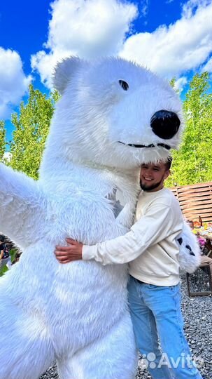 Белый Мишка