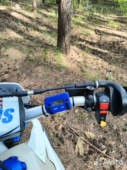 Avantis FX 250 lux
