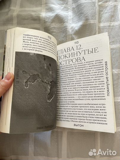 Выгон Эми Липтрот