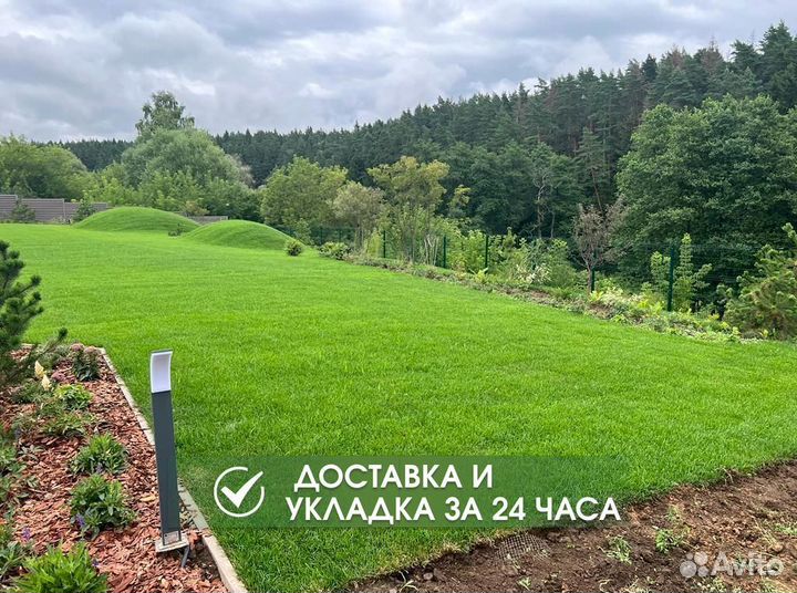 Рулонный газон с укладкой и гарантией