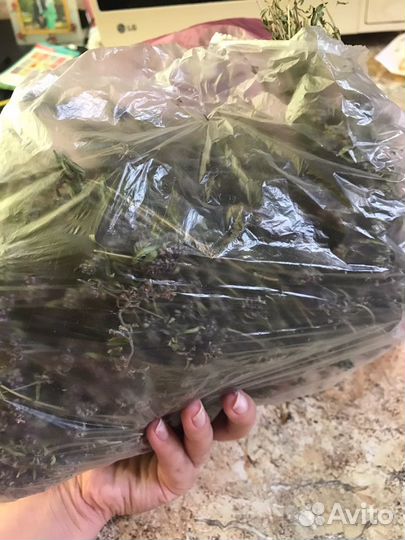 Зверобой, Чабрец,душица