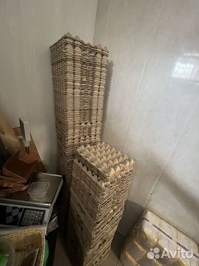 Лотки для яиц