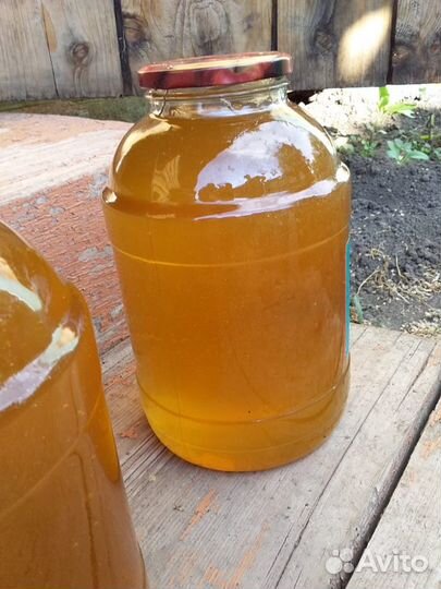 Мед оптом свежий