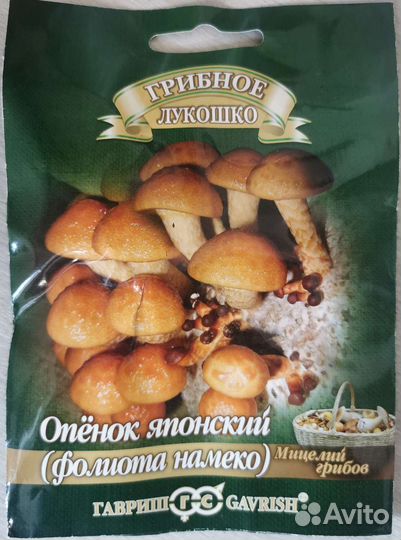 Мицелий грибов опята