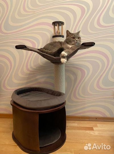 Когтеточка домик для кошки