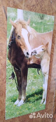 Картина с лошадьми