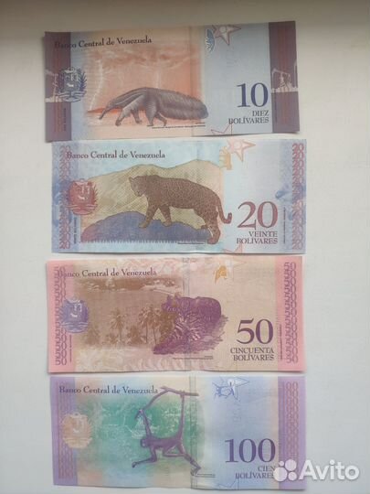 Банкноты Венесуэла