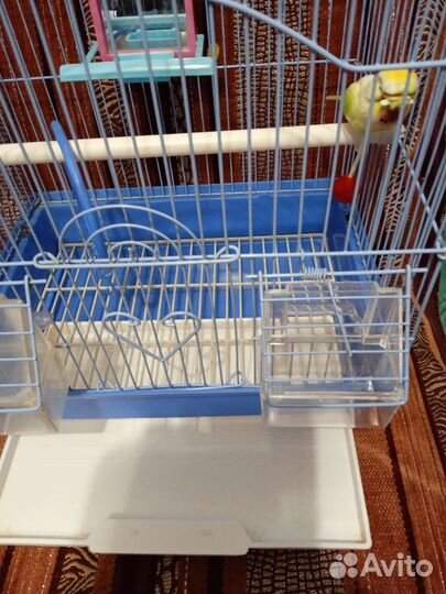 Клетка для попугая