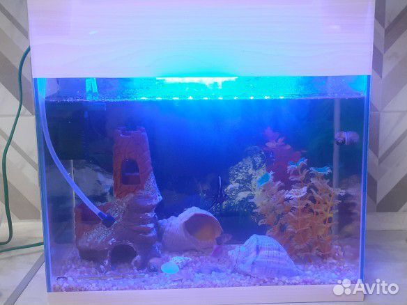 Аквариум