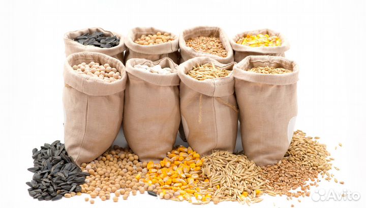 Продам фирму ооо 