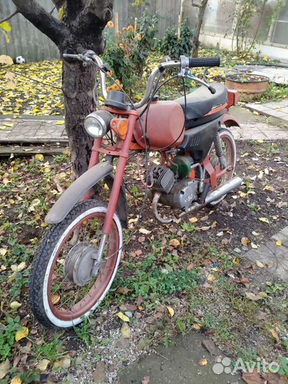 Карпаты 2