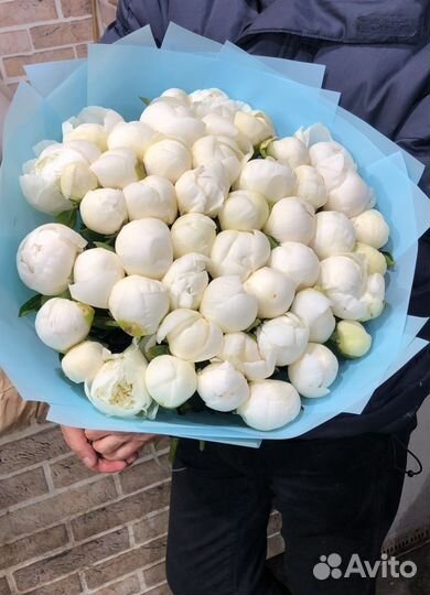 Пионы Букеты Цветы