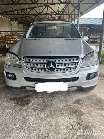 W 164 ml 350 мл 3.5 разбор