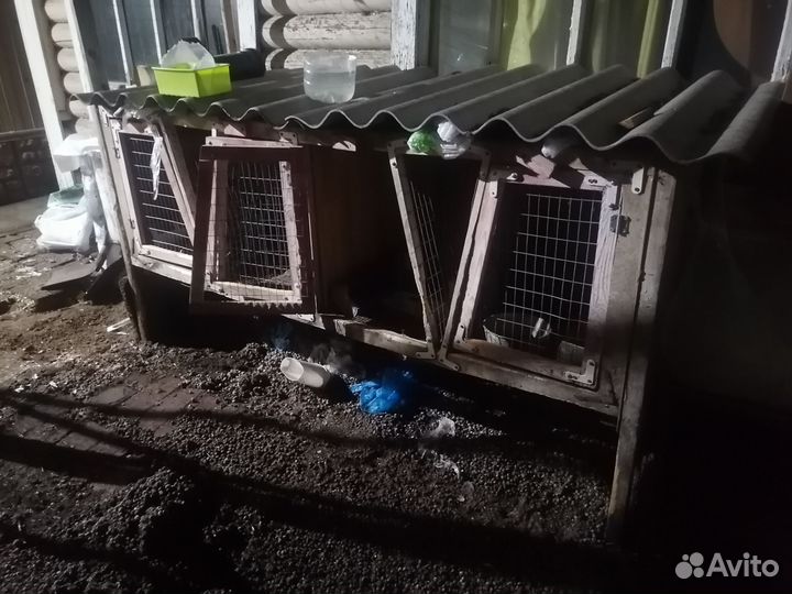 Клетка для кролика