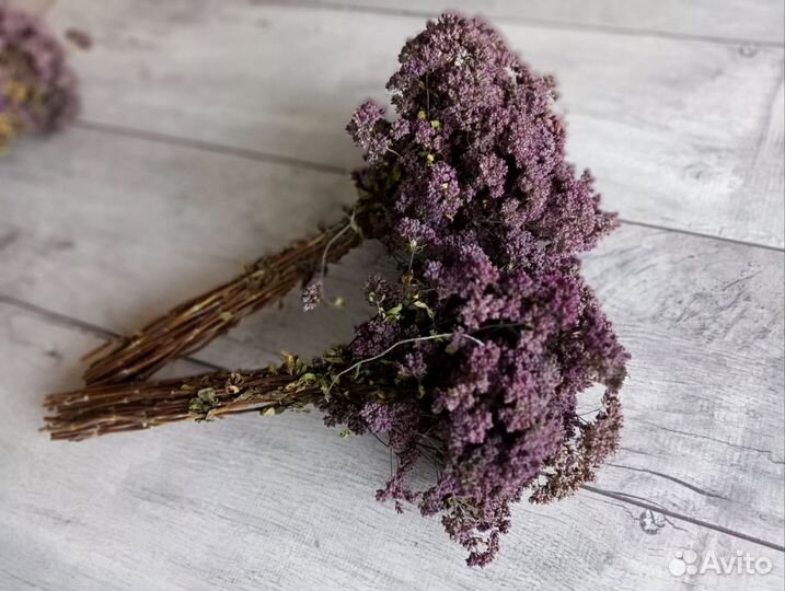 Душица сушеная