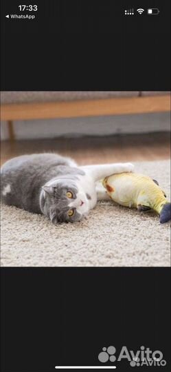 Интерактивная игрушка - рыба для кошек