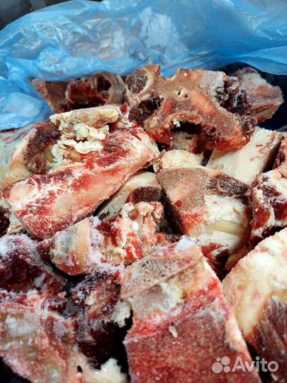 Кость говяжья