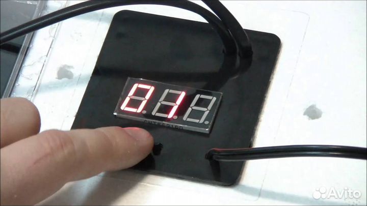 Терморегулятор цифровой с гигрометром к инкубатору