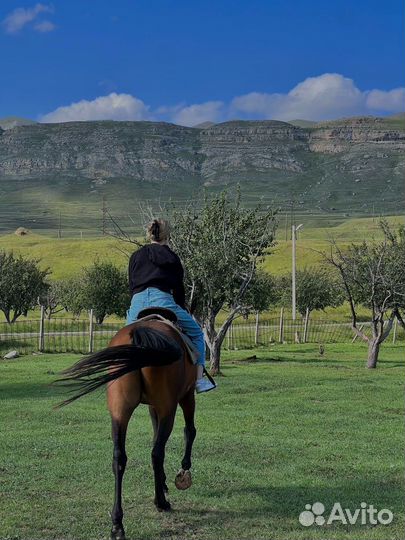 Туры по Дагестану все включено