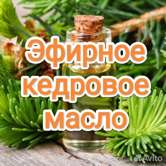 Эфирное кедровое масло 1 литр из Сибири