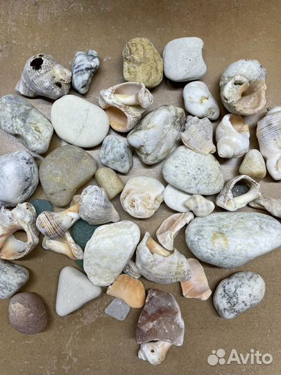 Грунт для аквариума