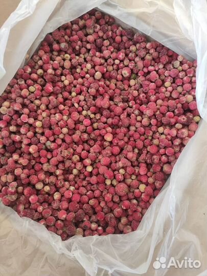 Облепиха и клубника полевая