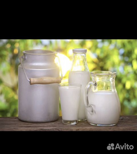 Молоко коровье домашнее