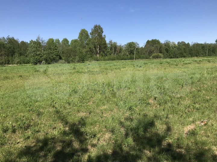 Участок 3,49 га (ИЖС)