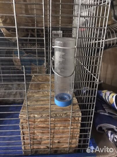 Клетка для грызунов