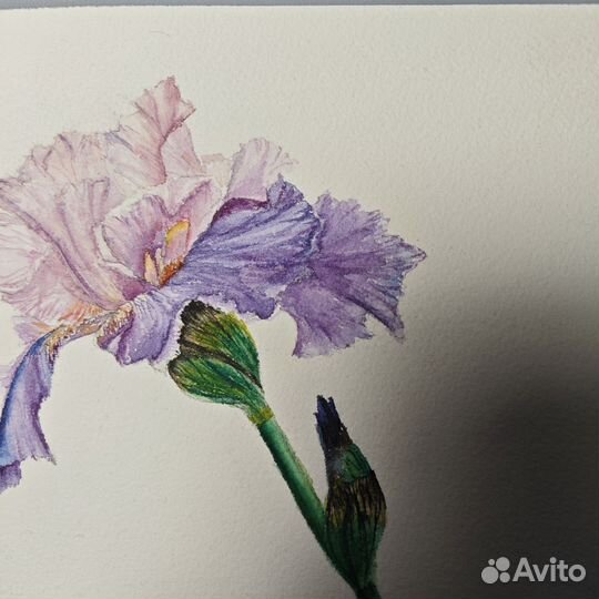 Картина акварельная