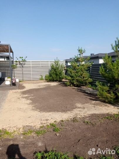 Рулонный газон под ключ