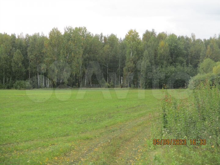 Участок 55 га (СНТ, ДНП)