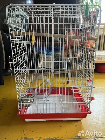 Клетка большая