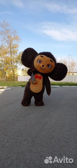 Поздравление от Чебурашки, тамада