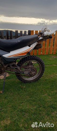 Рейсер Пантера 250