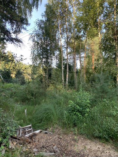 Участок 9,5 сот. (СНТ, ДНП)