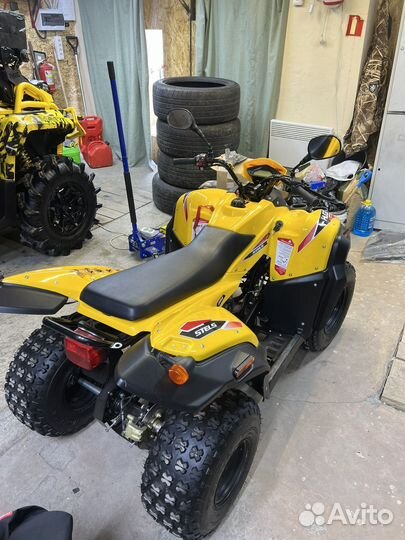Квадроцикл Stels ATV 110A hugo