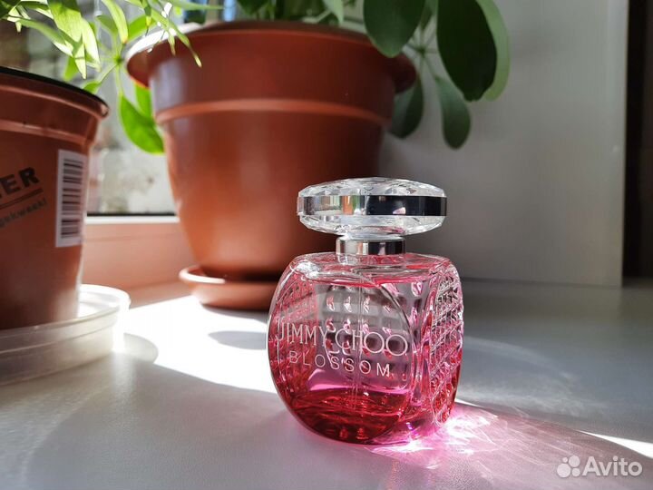 Jimmy choo blossom 60мл