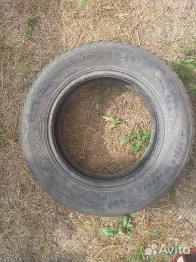 Белшина Artmotion Snow 195/65 R15