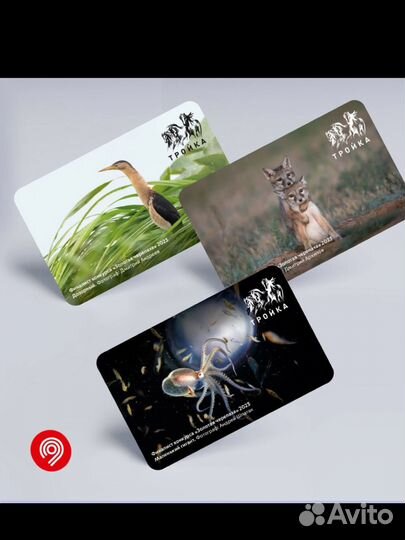 Коллекционная карта тройка