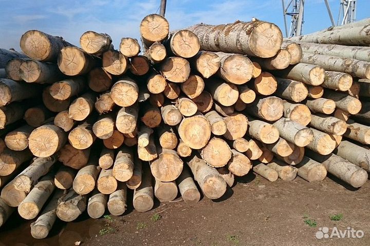 Дрова береза осина 300 м.куб