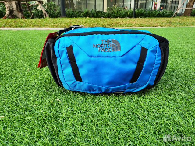 Сумка поясная The North Face Tioga Lumbar Bomber