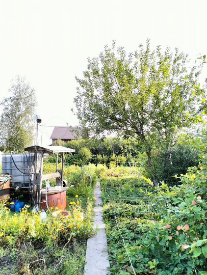 Дача 88 м² на участке 10 сот.